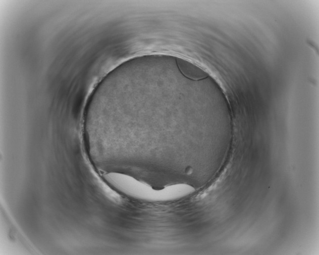 X0000096221525200802011332