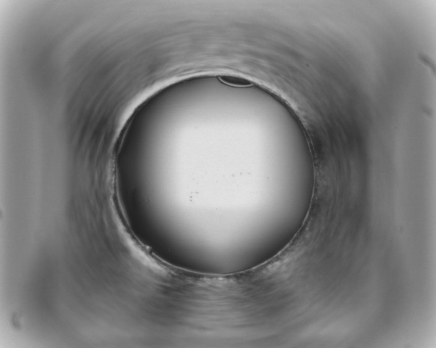 X0000096221526200802011332