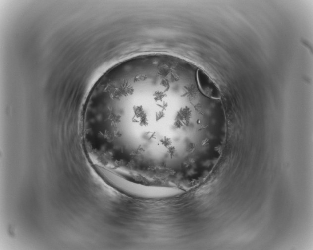 X0000096221527200802011332