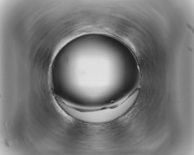 X0000096221528200802011332