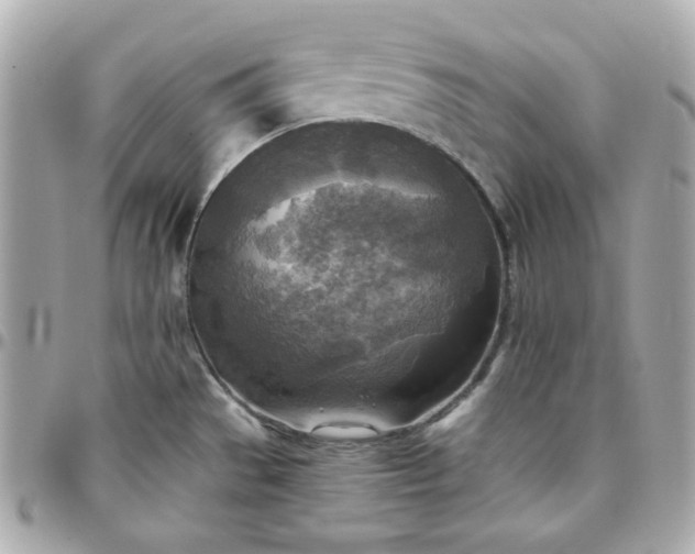 X0000096221529200802011332