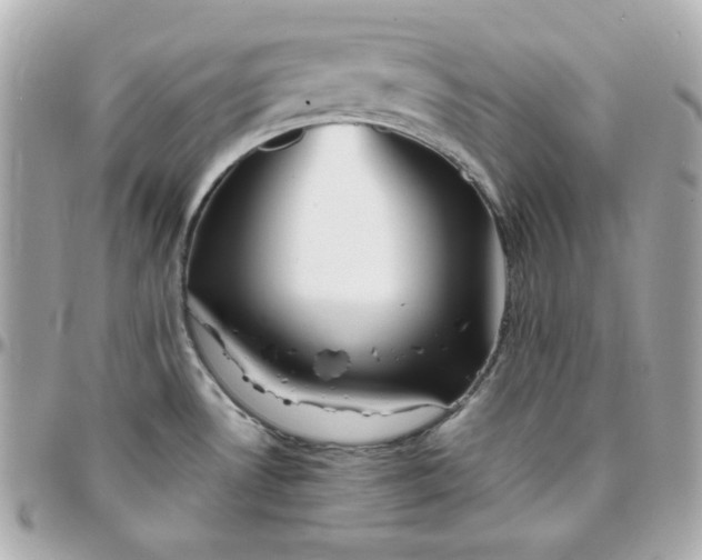 X0000096221530200802011332