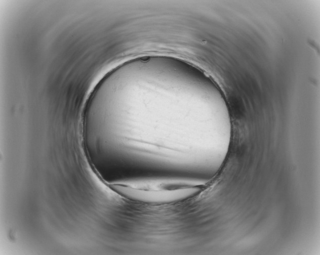 X0000096221531200802011332