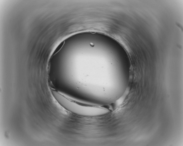 X0000096221532200802011332