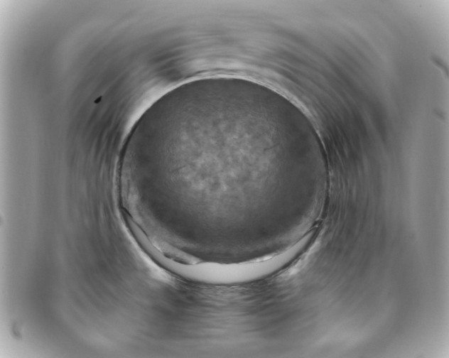 X0000096221533200802011332