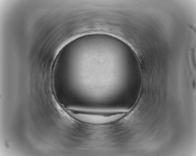 X0000096221534200802011332