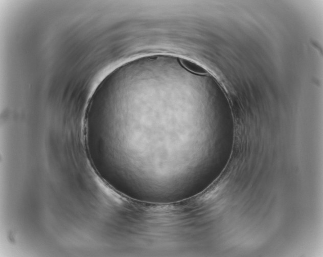 X0000096221535200802011332