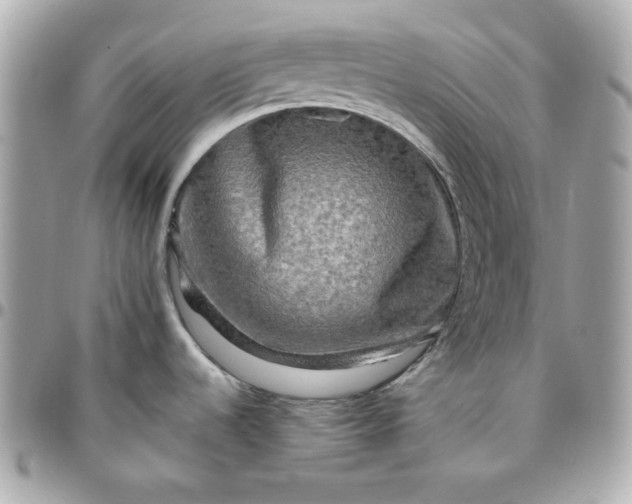 X0000096221536200802011332