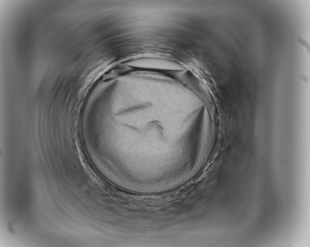 X0000096220001200802081536