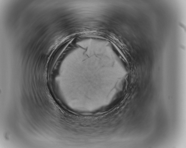 X0000096220002200802081536