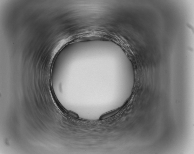 X0000096220003200802081536