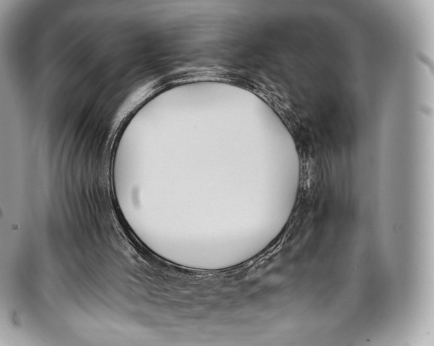 X0000096220004200802081536