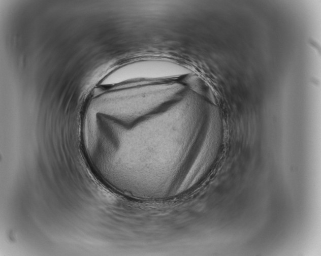 X0000096220005200802081536