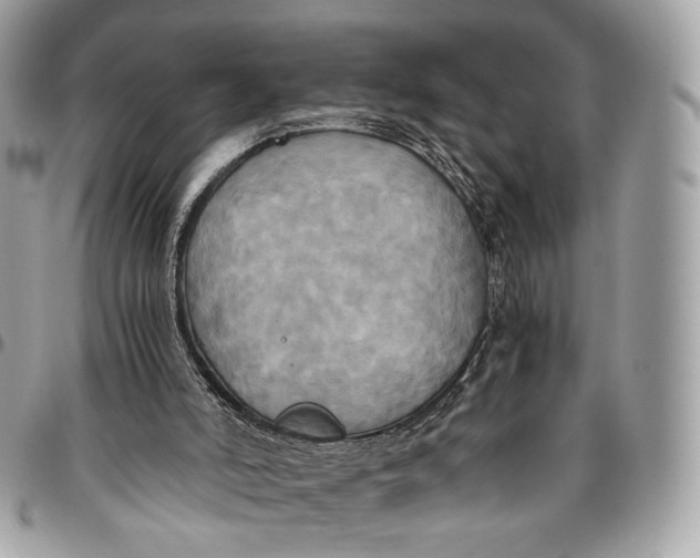 X0000096220006200802081536