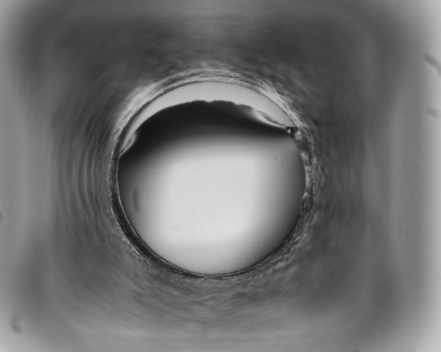 X0000096220007200802081536