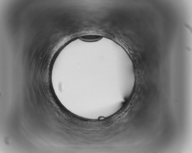 X0000096220008200802081536