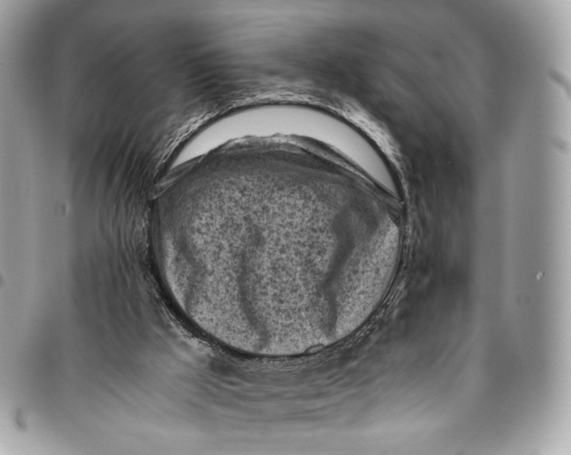 X0000096220009200802081536