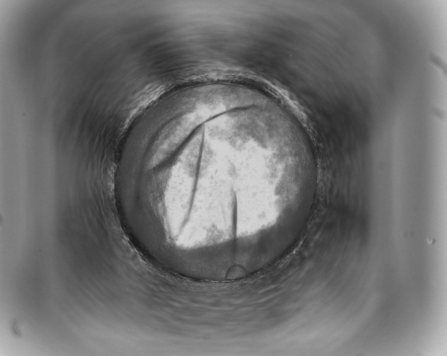 X0000096220010200802081536