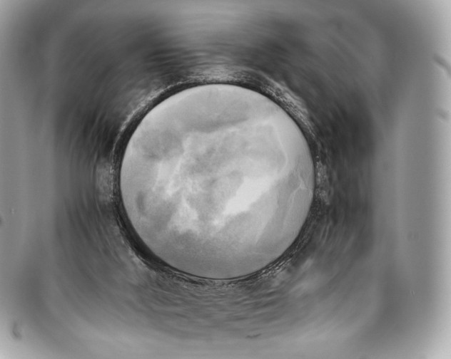 X0000096220012200802081536