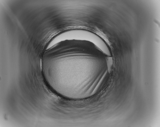 X0000096220013200802081536