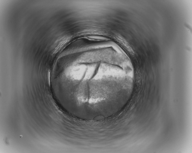 X0000096220014200802081536