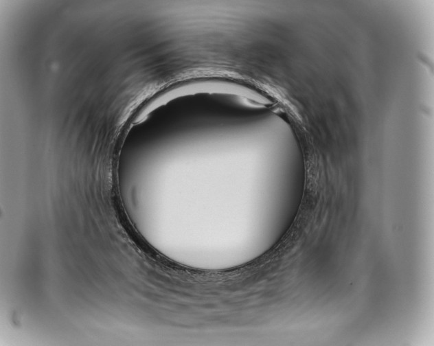 X0000096220015200802081536