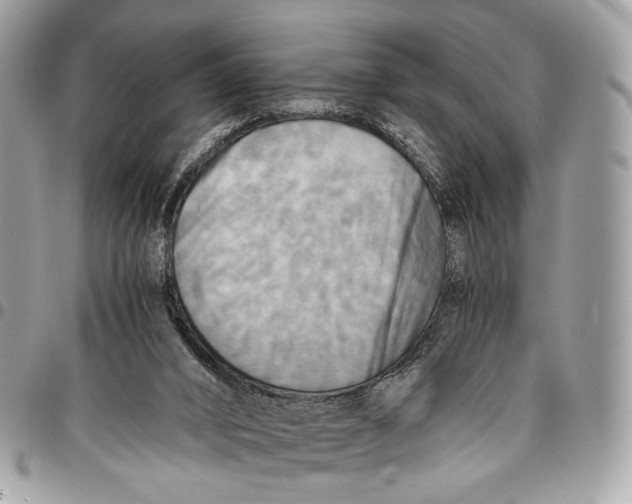 X0000096220016200802081536