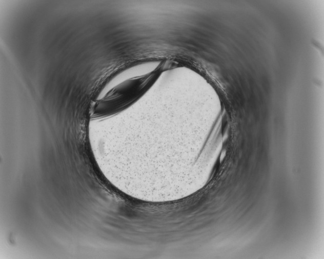 X0000096220017200802081536