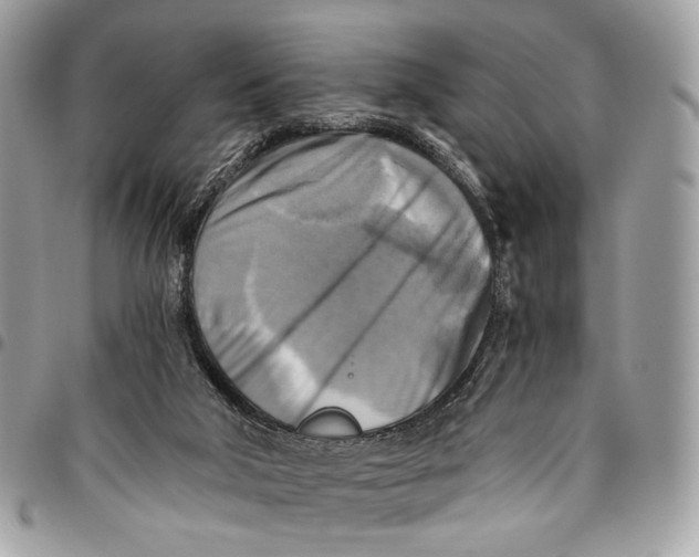 X0000096220018200802081536