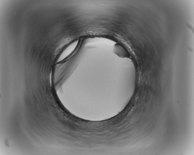 X0000096220019200802081536