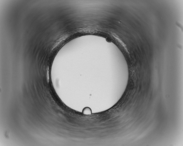 X0000096220020200802081535