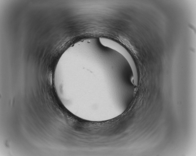 X0000096220021200802081535