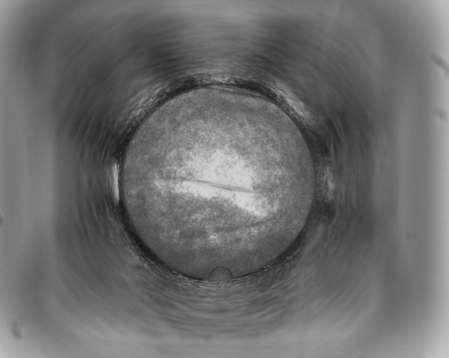 X0000096220022200802081535