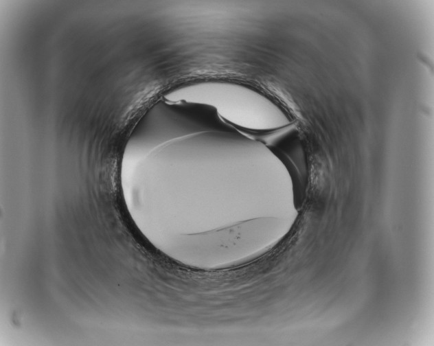 X0000096220023200802081535