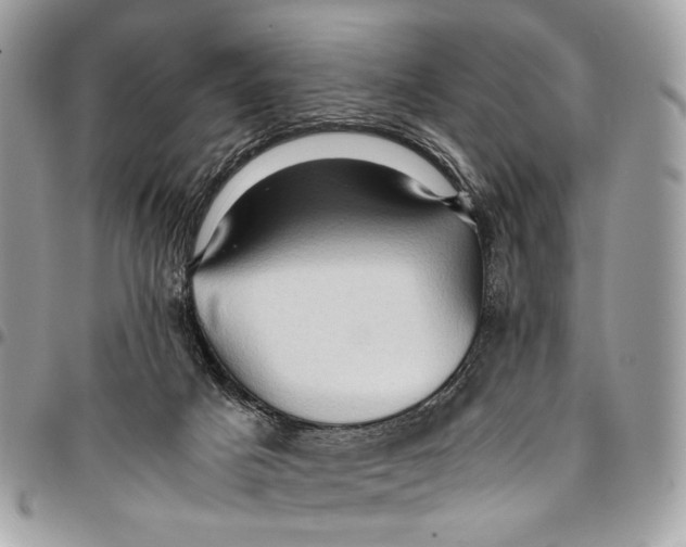 X0000096220025200802081535