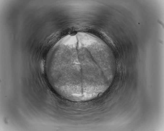 X0000096220026200802081535