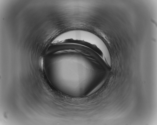 X0000096220027200802081535