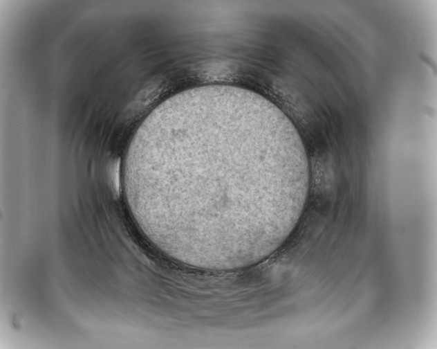 X0000096220028200802081535