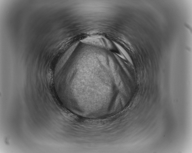 X0000096220029200802081535