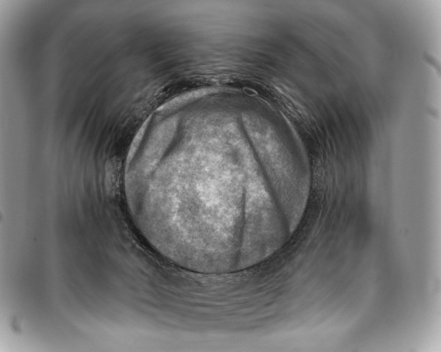 X0000096220030200802081535