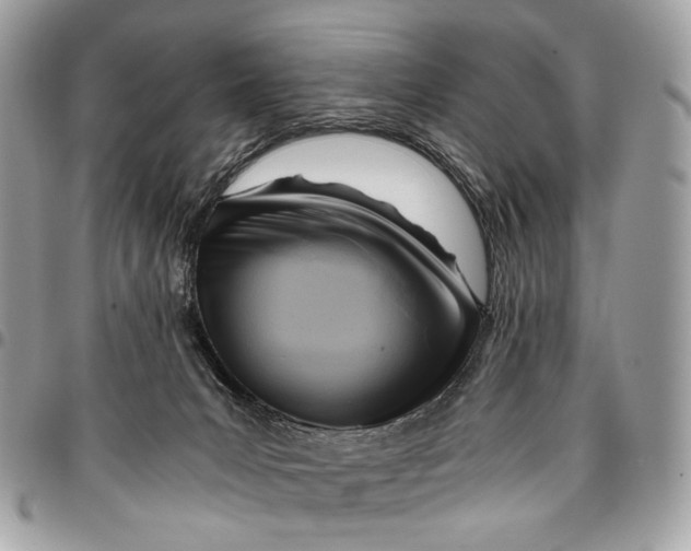 X0000096220031200802081535