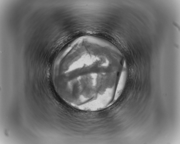 X0000096220032200802081535