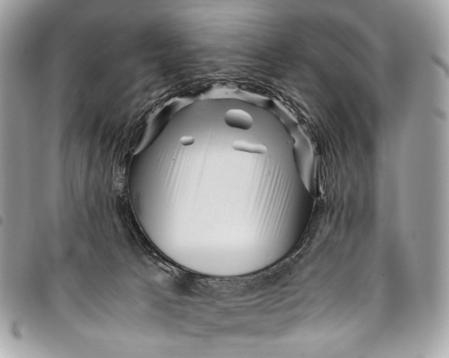 X0000096220033200802081535