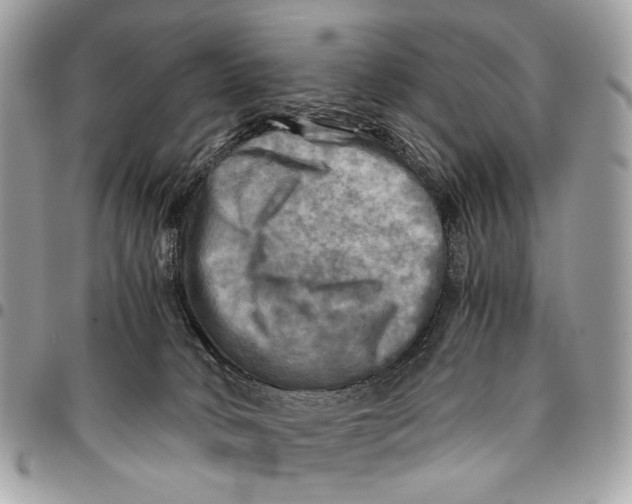 X0000096220034200802081535