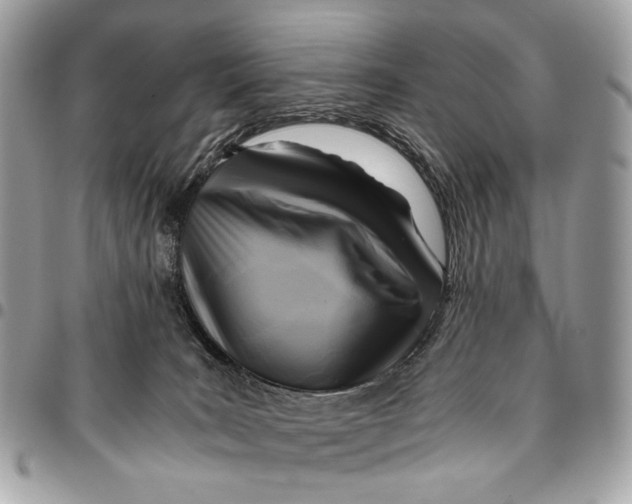 X0000096220035200802081535