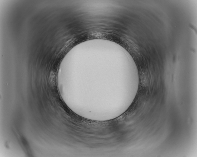 X0000096220036200802081535