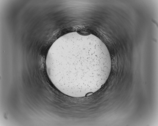 X0000096220038200802081535