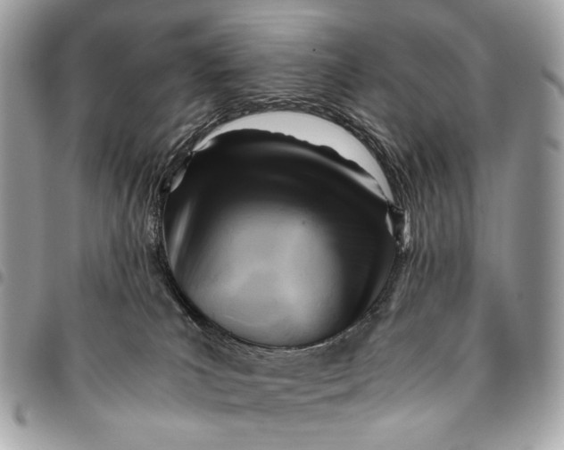 X0000096220039200802081535