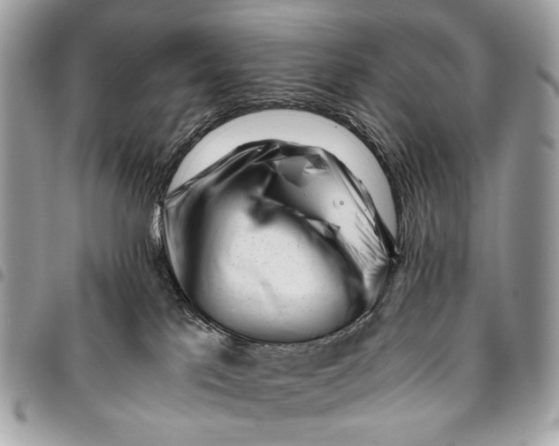 X0000096220041200802081535