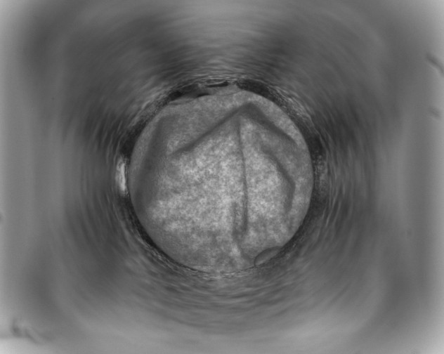 X0000096220042200802081535